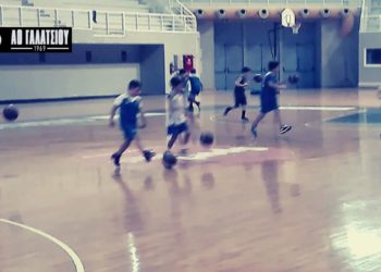 2012 – 2013 (Stars B)